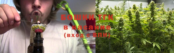дмт Елизово